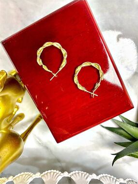 NWT Gold-Tone Twisted Hoop Earrings
